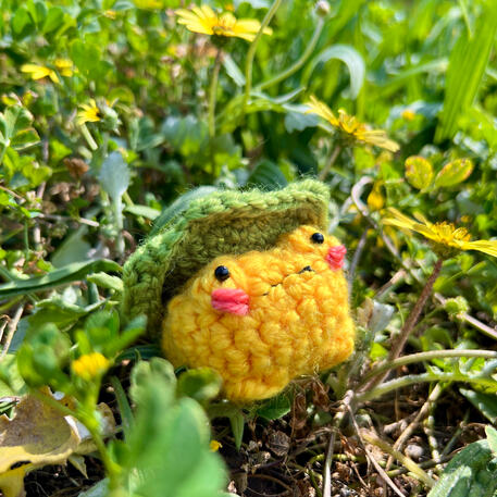 egg yolk with his lilypad crochet